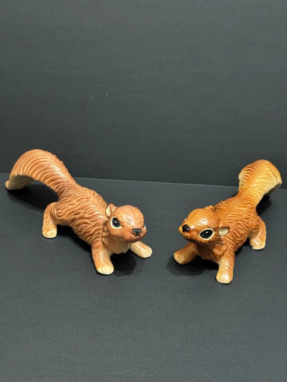 N/A norcrest squirrel